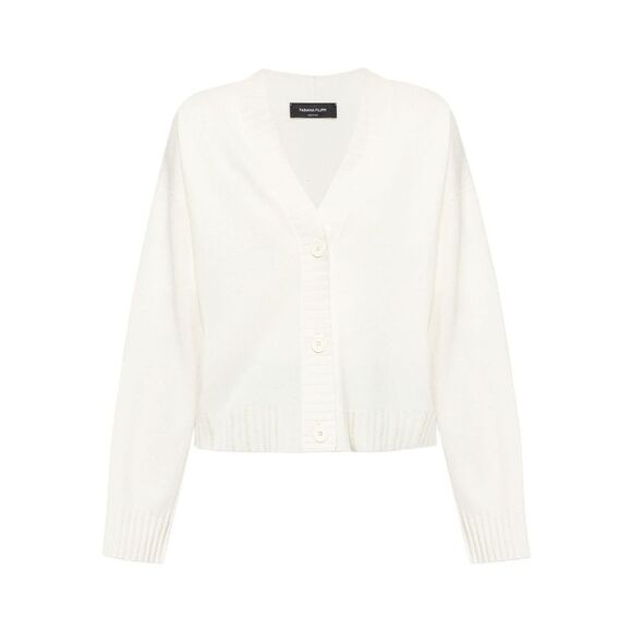 Fabiana Filippi Women Wool Blend V-Necked Sweater